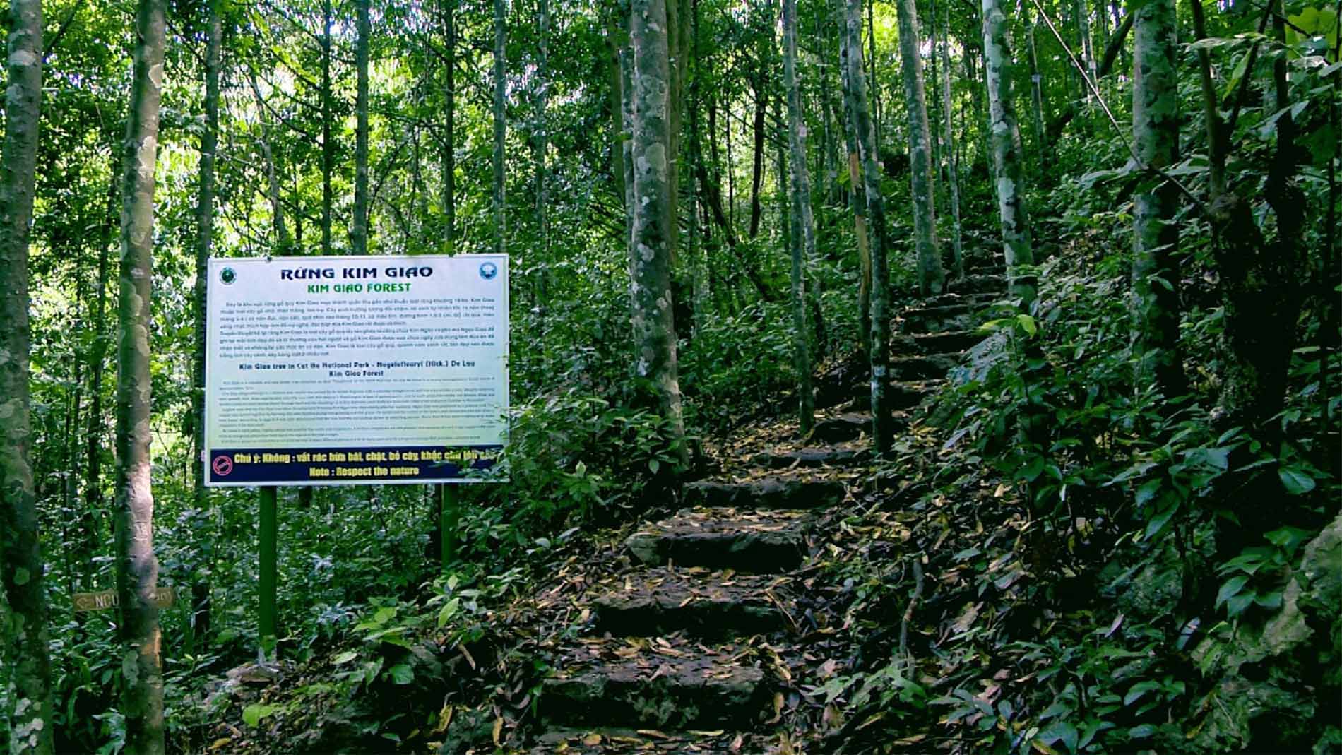 Hiking In Cat Ba National Park